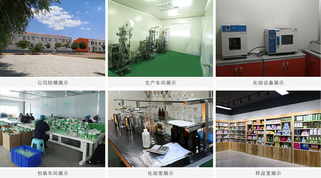 固體飲料OEM代加工廠(chǎng)家廠(chǎng)區(qū)以及車(chē)間-德州健之源